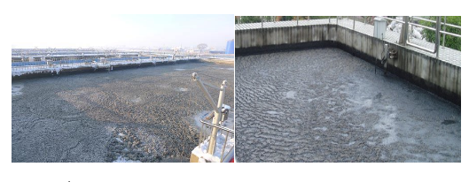 1682686770114520.png 555.png